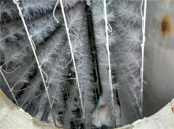 一体化羞羞视频下载安装
